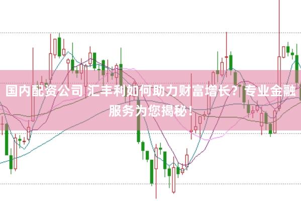 国内配资公司 汇丰利如何助力财富增长？专业金融服务为您揭秘！