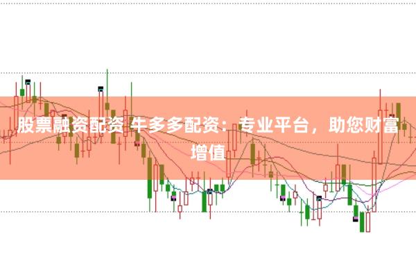 股票融资配资 牛多多配资：专业平台，助您财富增值