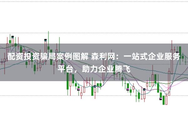 配资投资骗局案例图解 森利网:一站式企业服务平台,助力企业腾飞