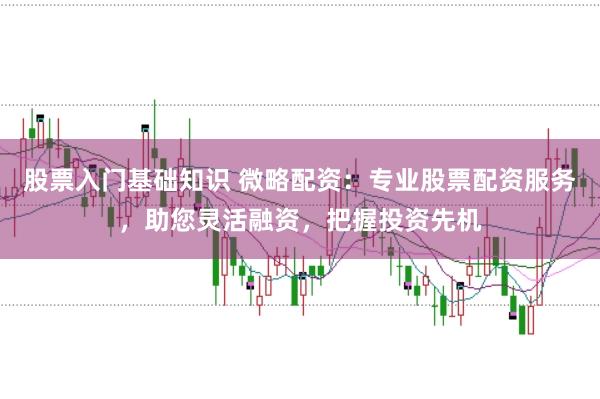 股票入门基础知识 微略配资：专业股票配资服务，助您灵活融资，把握投资先机