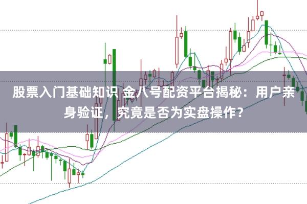股票入门基础知识 金八号配资平台揭秘：用户亲身验证，究竟是否为实盘操作？