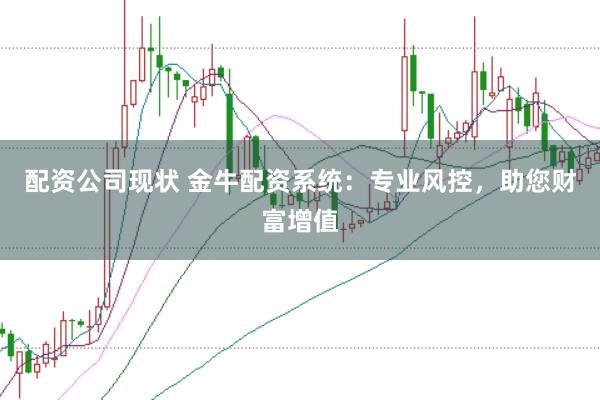 配资公司现状 金牛配资系统：专业风控，助您财富增值