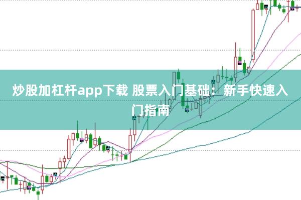 炒股加杠杆app下载 股票入门基础：新手快速入门指南