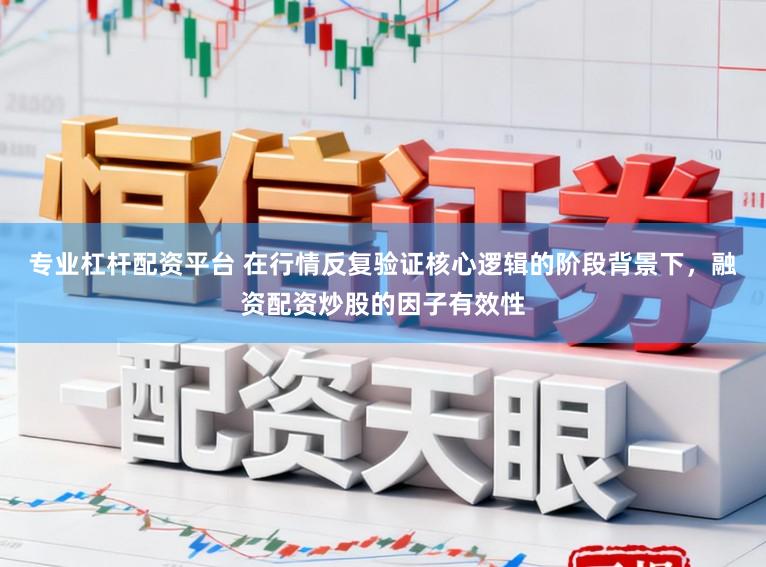专业杠杆配资平台 在行情反复验证核心逻辑的阶段背景下,融资配资炒股的因子有效性