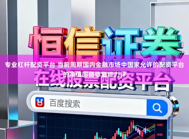 专业杠杆配资平台 当前周期国内金融市场中国家允许的配资平台的净值回撤修复能力评