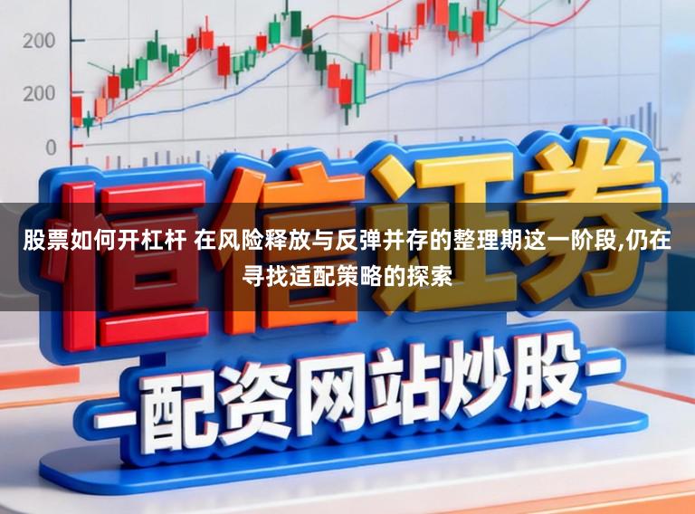股票如何开杠杆 在风险释放与反弹并存的整理期这一阶段，仍在寻找适配策略的探索